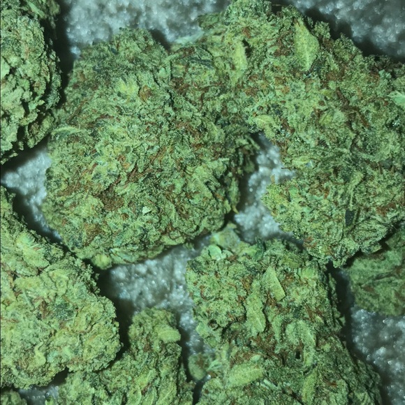 Meet your Posher, Yah - Picture 1 of 1